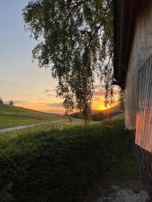 Nuit Insolite - La Cabane Du Haut-Doubs Les Gras Dış mekan fotoğraf